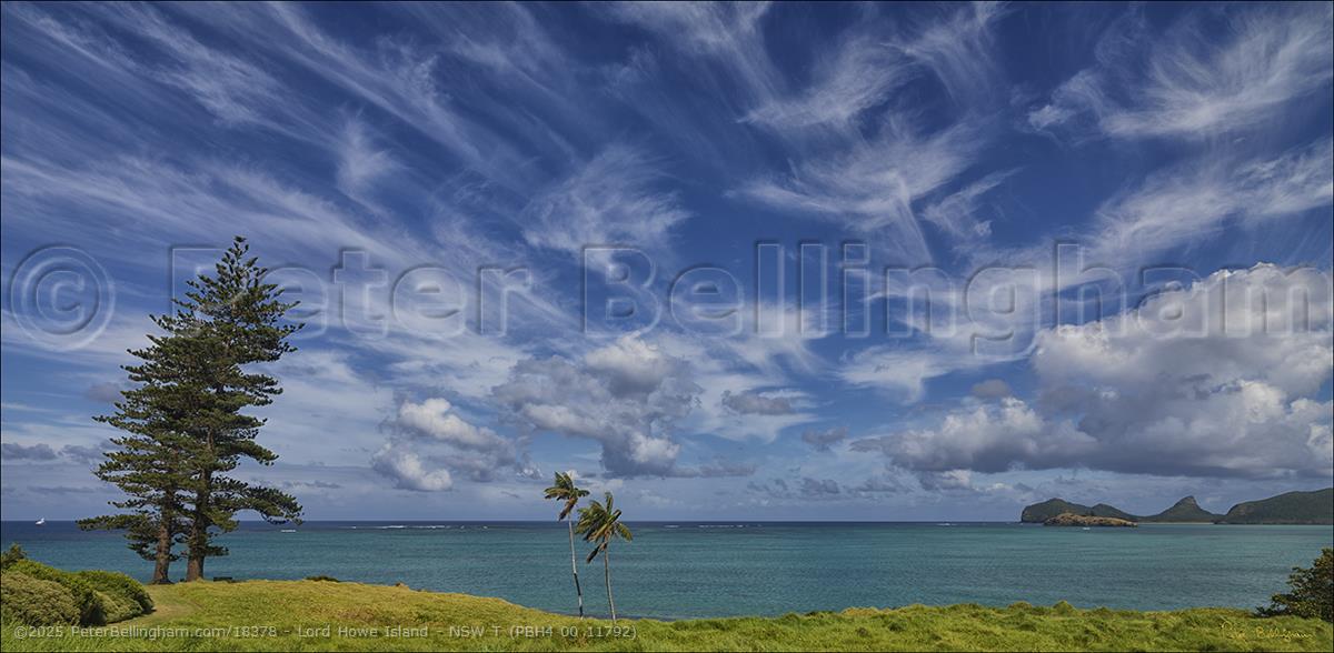 Peter Bellingham Photography Lord Howe Island - NSW T (PBH4 00 11792)